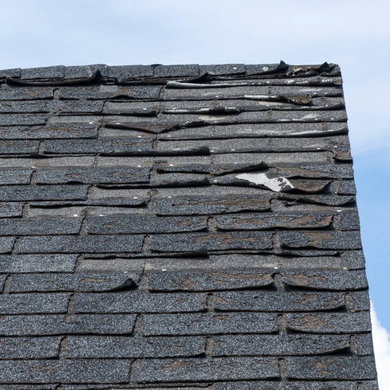 Roof repair Aylmer